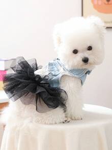 PETCIRCLE 1件宠物服装，狗狗/猫咪服饰，时尚可爱的小型犬休闲浪漫薄纱连衣裙系列，星云薄纱连衣裙 - 彩色 - 查看 4