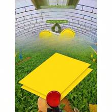 Double-Sided Sticky Insect Board Insect Trap Yellow Board Blue Board Greenhouse Tea Garden Orchard Greenhouse Gardening Sticky Insect Prevention - Yellow - View 6