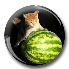 有趣的图案徽章胸针，女士翻领别针，胸针，包包吊坠，时尚配饰，送给朋友、家人、老师和同学的有趣礼物 - 彩色 - 查看 4