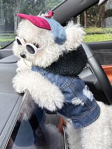 PETCIRCLE 2pcs Pet Clothes, Dog Cat Outfit, Small Dog Puppy Apparel, Cute & Stylish Comfortable Jacket Set With Green Hoodie And White Fashion Glasses Hat - Multicolor - View 5