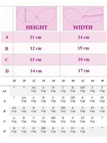 Strapless Sticky Bra |   Invisible Push-Up Adhesive Bra With Strong Hold |   Washable Silicone Backless Bra For Swimwear, Bikinis, Running & All-Day Wear - Clear - 查看 8