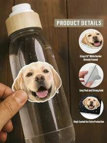 1-80 miếng dán vinyl in hình chó, mèo và các thú cưng khác, có thể tùy chỉnh tên thú cưng, chống thấm nước và chống rách, đa năng và có thể tái sử dụng. - Màu be - Xem 3