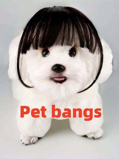 可调节宠物假发（带刘海） - 角色扮演宠物配件，耐热直发假发，适合万圣节、派对和摄影道具，黑白设计，宠物服装 | 可爱宠物假发 | 耐热假发，假发配件