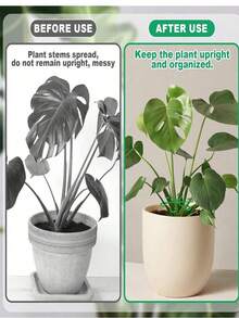 4pcs Plant Climbing Stem Support, 4 Sizes, Plant Support Fasteners, Sturdy Stem Clips, Suitable For Climbing Plants - Plastic Material, Or Indoor Climbing Plants, Plant Supports, Flower Plant Supports, Stem Hook Growth Accessories, Suitable For Plants And Flowers - Multicolor - View 9