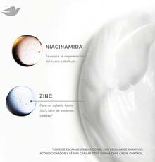 Control de Caspa Derma Care. Hasta 100%* Libre de Caspa. Regenera de Cuero Cabelludo a Puntas. Desarrollado con Dermatólogos, 400 mL 4CP1 - 1 - Ver 6