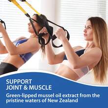 BUPORAI Apoyo Para Articulaciones Y Músculos: Favorece La Salud Articular, Alivia El Dolor Muscular, Refuerza El Sistema Inmunitario Y Promueve La Producción De Energía (120 Unidades) - 120 cápsulas - Ver 4