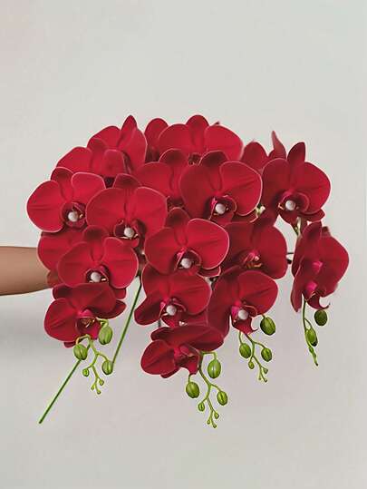 1/3/5支装 27英寸仿真蝴蝶兰花枝，触感逼真，适用于家居、办公室、婚礼装饰，也可用于学校宿舍、情人节礼物、母亲节礼物、仿真植物、办公室、派对、节日、生日等场合，四季皆宜，适用于家居、门厅、酒店、餐厅、客厅、卧室、婚礼、厨房、花园等场所，营造装饰风格，是派对和节日装饰的理想之选。