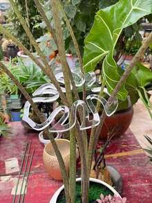 Clear Flexible Plant Support Clips - Adjustable Garden Clamps With Non-Slip Grip, For Indoor/Outdoor, Greenhouse, Bonsai, Monstera, Ferns, Peace Lilies - Durable Lightweight Plastic Plant Training Clips, Indoor Plant Care, Modern Clip Design, Transparent Material - Multicolor - View 2