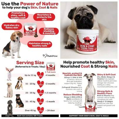 Skin Coat Treats - Nourish, Strengthen, Protect Skin Coat, Reduce Excessive Shedding - Rich In EPA DHA - Small, Medium And Large Dogs