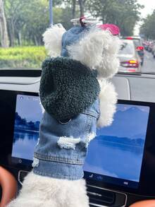 PETCIRCLE 2pcs Pet Clothes, Dog Cat Outfit, Small Dog Puppy Apparel, Cute & Stylish Comfortable Jacket Set With Green Hoodie And White Fashion Glasses Hat - Multicolor - View 1