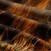 Conjunto de capa de edredom com retrato de leão fotorrealista impresso em 3D, 2/3 peças, com tema de arte da vida selvagem, conjunto de capa de edredom de microfibra, conjunto de cama com textura detalhada para decoração e eventos inspirados na natureza (tamanho 135 x 200, apenas 1 fronha)