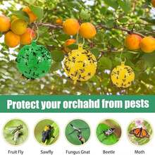 Pack Of 10 Fruit Fly Traps, 10% Flying Insect Trap Balls, Fly Catcher, Mosquito Traps With Adhesive, Loose Fly Traps For Indoors, Outdoors, Kitchen, Plants, Trees, Flying Insects - màu xanh lá - Xem 3
