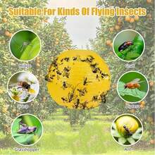 Pack Of 10 Fruit Fly Traps, 10% Flying Insect Trap Balls, Fly Catcher, Mosquito Traps With Adhesive, Loose Fly Traps For Indoors, Outdoors, Kitchen, Plants, Trees, Flying Insects - màu xanh lá - Xem 5