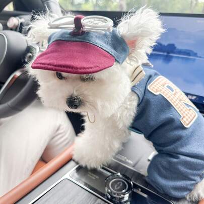 PETCIRCLE 两件套宠物服装，适合小型犬和幼犬，可爱舒适的套装包括字母熊裤子和白色时尚眼镜帽。