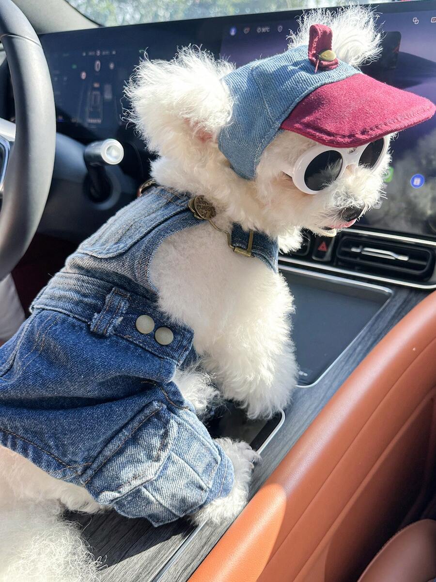 PETCIRCLE 2件套宠物服装,适合小型犬和幼犬的猫狗套装,时尚可爱舒适的服装组合:背带裤+白色时尚眼镜帽 - 彩色 - 查看 1