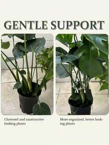 Clear Flexible Plant Support Clips - Adjustable Garden Clamps With Non-Slip Grip, For Indoor/Outdoor, Greenhouse, Bonsai, Monstera, Ferns, Peace Lilies - Durable Lightweight Plastic Plant Training Clips, Indoor Plant Care, Modern Clip Design, Transparent Material - Multicolor - View 5