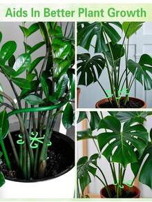 4pcs Plant Climbing Stem Support, 4 Sizes, Plant Support Fasteners, Sturdy Stem Clips, Suitable For Climbing Plants - Plastic Material, Or Indoor Climbing Plants, Plant Supports, Flower Plant Supports, Stem Hook Growth Accessories, Suitable For Plants And Flowers - Multicolor - View 7