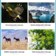 【高清单筒望远镜】便携式单筒望远镜套装 | 高清高倍率入门级天文镜头，适用于弱光夜视和观星 - 适合成人、青少年和初学者，可作为手动对焦的科普礼物或生日礼物