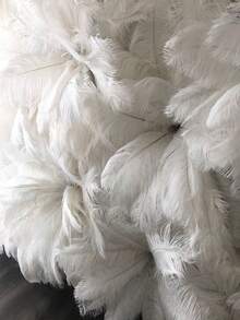 1/3/5/10/20/30 buc pene de struț albe, decorațiuni luxoase și elegante din pene albe 25cm-50cm, potrivite pentru decorul casei, aranjament floral, decorarea camerei, decorarea de Ziua Îndrăgostiților, meșteșuguri DIY, umplerea vazei - Multicolor - Vizualizare 10