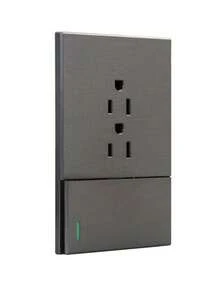 Placa de Diseño Elegante con Apagador y 2 Contactos - Plateado - Ver 1