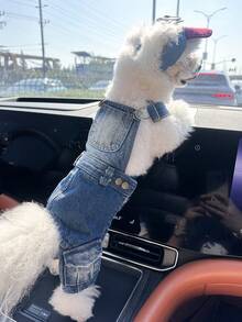 PETCIRCLE 2件套宠物服装，适合小型犬和幼犬的猫狗套装，时尚可爱舒适的服装组合：背带裤+白色时尚眼镜帽 - 彩色 - 查看 3