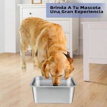 Plato para Perro de Acero Inoxidable, Tazn para perros 4. litros gran capacidad, platos para perro, cuenco de agua de metal y trastes para perro, Adecuado para Perros medianos y Grandes - inicial - Ver 8