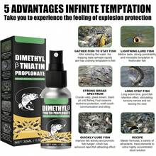 Fishing Attractants - 1 - 查看 4