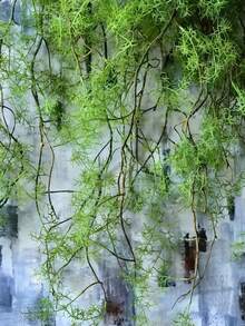 1/3件装人造苔藓垂吊植物，带藤蔓 - 仿真垂吊蕨类植物，适用于家居、花园、办公室、阳台装饰、感恩节装饰、酒店装饰、橱窗展示、人造绿植、人造树叶、情人节、礼品、室内/室外花园装饰、婚礼装饰。是感恩节、祖父母节的理想之选。 - 彩色 - 查看 3