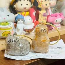 (Under $1) Limited Time Low Price – Cat Hair Storage Bag Charm – Capsule Shape, Transparent & Lightweight, Practical For Bags & Shows Love For Cats