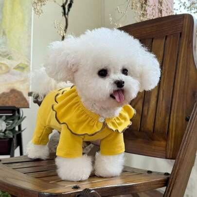 一件宠物狗彼得潘领连体衣，适合泰迪犬、贵宾犬、比熊犬等犬种在春夏穿着。