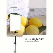 10.0 Inch Video Lighting With Adjustable Tripod Stand, 43.31 Inch Stand, Suitable For Photography Studio, Flash Light, Photography, Makeup, Conference, Group Selfie, Live Streaming