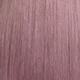 Lilac Purple