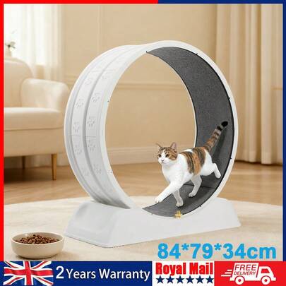 Plastic Cat Wheels For Indoor Cats,31.5 Inch Cat Exercise Running Treadmill Wheel With Carpeted Runway For Kitty's Longer Life, Fitness Weight (White/Grey)