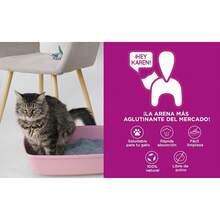 ¡Hey Karen! para Gato Bolsa 10 kg, Standard, Elimina olores al Contacto, Rápida Absorción, Baja en Polvo, Limpieza fácil, con Aroma - 1 - Ver 2