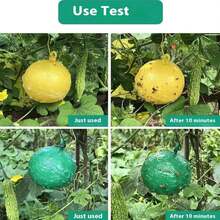 Pack Of 10 Fruit Fly Traps, 10% Flying Insect Trap Balls, Fly Catcher, Mosquito Traps With Adhesive, Loose Fly Traps For Indoors, Outdoors, Kitchen, Plants, Trees, Flying Insects - màu xanh lá - Xem 4