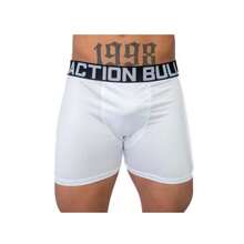 Kit 10 Plain Microfiber Men's Briefs - Multicolor - Ver 5