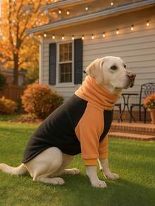 1 件时尚宠物连帽衫外套柔软拉绒舒适针织衫，适合中大型犬，加厚高领设计弹性保暖小狗冬季服装，适合拉布拉多罗威纳犬比格犬