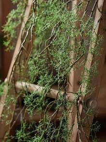 1/3件装人造苔藓垂吊植物，带藤蔓 - 仿真垂吊蕨类植物，适用于家居、花园、办公室、阳台装饰、感恩节装饰、酒店装饰、橱窗展示、人造绿植、人造树叶、情人节、礼品、室内/室外花园装饰、婚礼装饰。是感恩节、祖父母节的理想之选。 - 彩色 - 查看 4