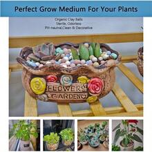 Natural Organic Colorful Leca Balls 2LBS Plants, 8mm - 10mm Ceramsite Clay Pebbles Indoor Potting Garden Soil Orchid, Succulents, Hydroponics, Decoration, Drainage 2LBS, Colorful, 1 - 2LBS + Nhiều màu + 1 - Xem 4
