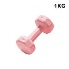 1个1公斤健身哑铃，防滑壶铃，防水防滚小哑铃，家用健身器材，女士健身装备，亮丽色彩，手臂肌肉瑜伽哑铃，肌肉健身锻炼器材 - 彩色 - 查看 12