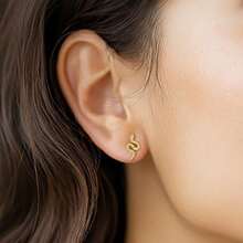 1 Pair Cute Golden Snake & Swallow Stud Earrings, Delicate Snake & Swallow Shaped Earrings, Stainless Steel Waterproof Earrings, Unique Animal Design, Fashionable & Versatile, Gift For Girlfriend Birthday