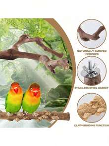 5PCS Bird Perch Stand Natural Wooden Parrot Stand Branch,3 Grape Wood Perch,2 Stand,Paw Grinding Fork Parakeet Chewing Stick Exercise Training Branches For Cockatiels,Small Medium Birds
