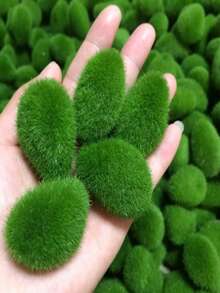 6 كرات صغيرة من الطحالب الخضراء الدائمة - خليط عشوائي من أحجام صغيرة ومتوسطة وكبيرة، ديكور نباتي اصطناعي مثالي لحدائق الفراي DIY والأحواض المائية وتصميم المناظر الطبيعية الخارجية للزفاف والخطوبة