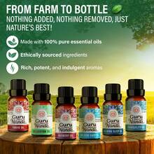 GuruNanda Aromatherapy Essential Oils (6-Pack, 10mL Each) – Blended Scents For Diffusers, 100% Pure & Natural - 預設 - 查看 2