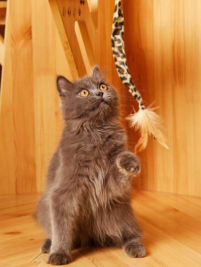 PETSIN 1 件豹纹羽毛逗猫棒，适用于室内/室外猫，宠物玩具，豹纹和彩色羽毛逗猫棒