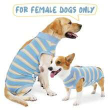 Dog Recovery Suit, Recovery Suit For Dogs After Surgery, Dog Spay Surgical Suit For Female Dogs, Dog Bodysuit Body Suit For Surgery Male Substitute Dog E-Collar Cone