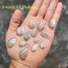 Weiß gemusterte Kieselsteine, große Abalonen, Muschelschmuck, Dekorationen, Heimdekoration, Muscheln, Aquarium, kreative Aquarium-Dekorationen, Weihnachtsgeschenke - Verschiedenfarbig - Übersicht 14