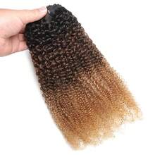 BINF African American Afro Kinky Curly Clip Ins Hair Extension Human Hair 8Pcs/Set 120 Gram With 20 Clips Brazilian Curly Clip In Hair Extensions Real Natural Human Hair Afro Kinky Curly Virgin Hair Clips In For African Women Full Head Kinky Curly Human Hair Clip Ins Extension Double Weft Curly Clip Ins Human Hair - #1B/4/27 Afro Curly Clip in Extension - 查看 10