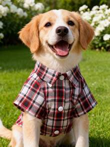 1pc Cute & Stylish Pet Dog Casual Outfit, Colorblock Plaid/Colorful Stripe/Minimalist Design Short Sleeve Plaid Shirt, For Teddy/Poodle Small Breed Dogs, Spring/Summer/Autumn - Multicolor - View 5