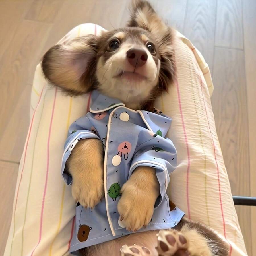 Autumn Small Dog Anti-Shedding Pajamas, Cartoon Pattern Thin Jacket, Suitable For Yorkshire Terrier, Schnauzer, Poodle, Teddy - Blue - View 1